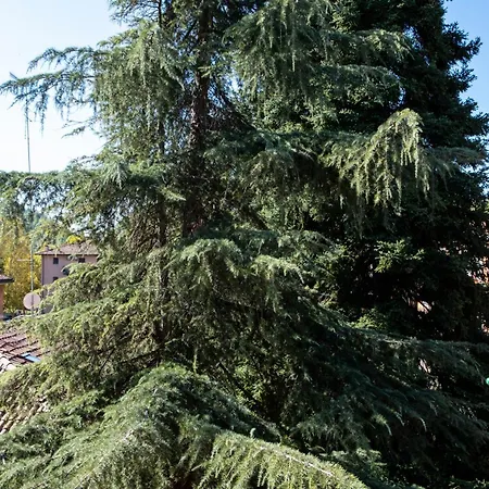 Casa Dimondi بولونيا