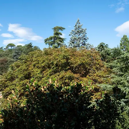 בית הארחה Casa Dimondi בולוניה