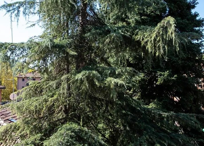 Casa Dimondi Bologna